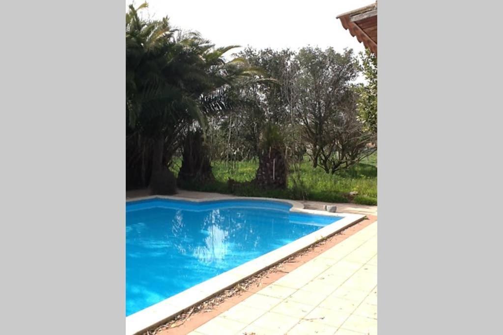 Loft Mansardato Con Giardino E Piscina In Villa Privata Loft With Garden And Swimming Pool In A Private Villa Sestu 外观 照片