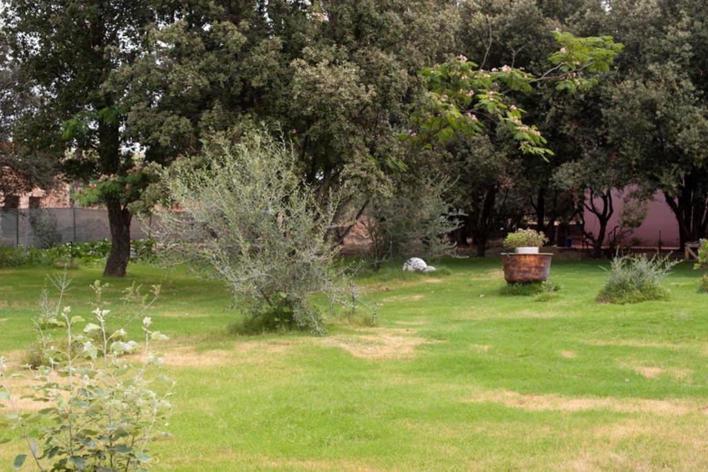 Loft Mansardato Con Giardino E Piscina In Villa Privata Loft With Garden And Swimming Pool In A Private Villa Sestu 外观 照片