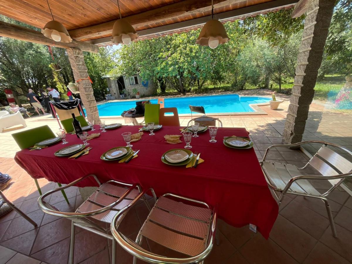 Loft Mansardato Con Giardino E Piscina In Villa Privata Loft With Garden And Swimming Pool In A Private Villa Sestu 外观 照片