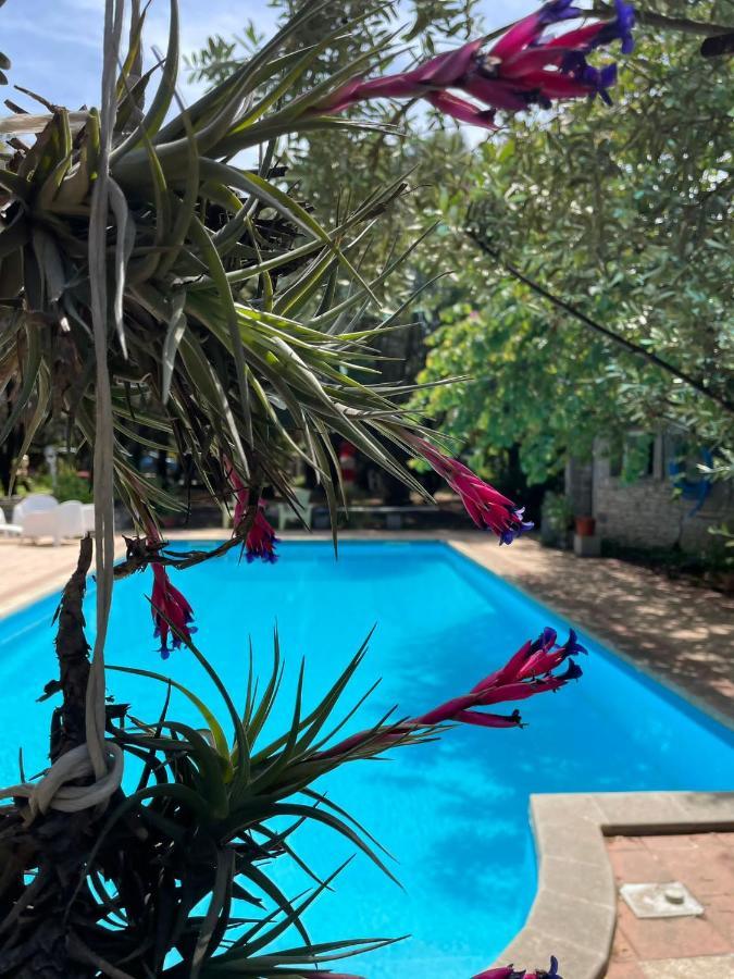 Loft Mansardato Con Giardino E Piscina In Villa Privata Loft With Garden And Swimming Pool In A Private Villa Sestu 外观 照片
